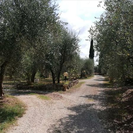 Nel Chianti Lungo La Francigena Apartment Colle Val D'Elsa Ngoại thất bức ảnh