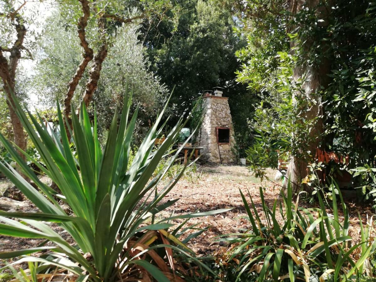 Nel Chianti Lungo La Francigena Apartment Colle Val D'Elsa Ngoại thất bức ảnh