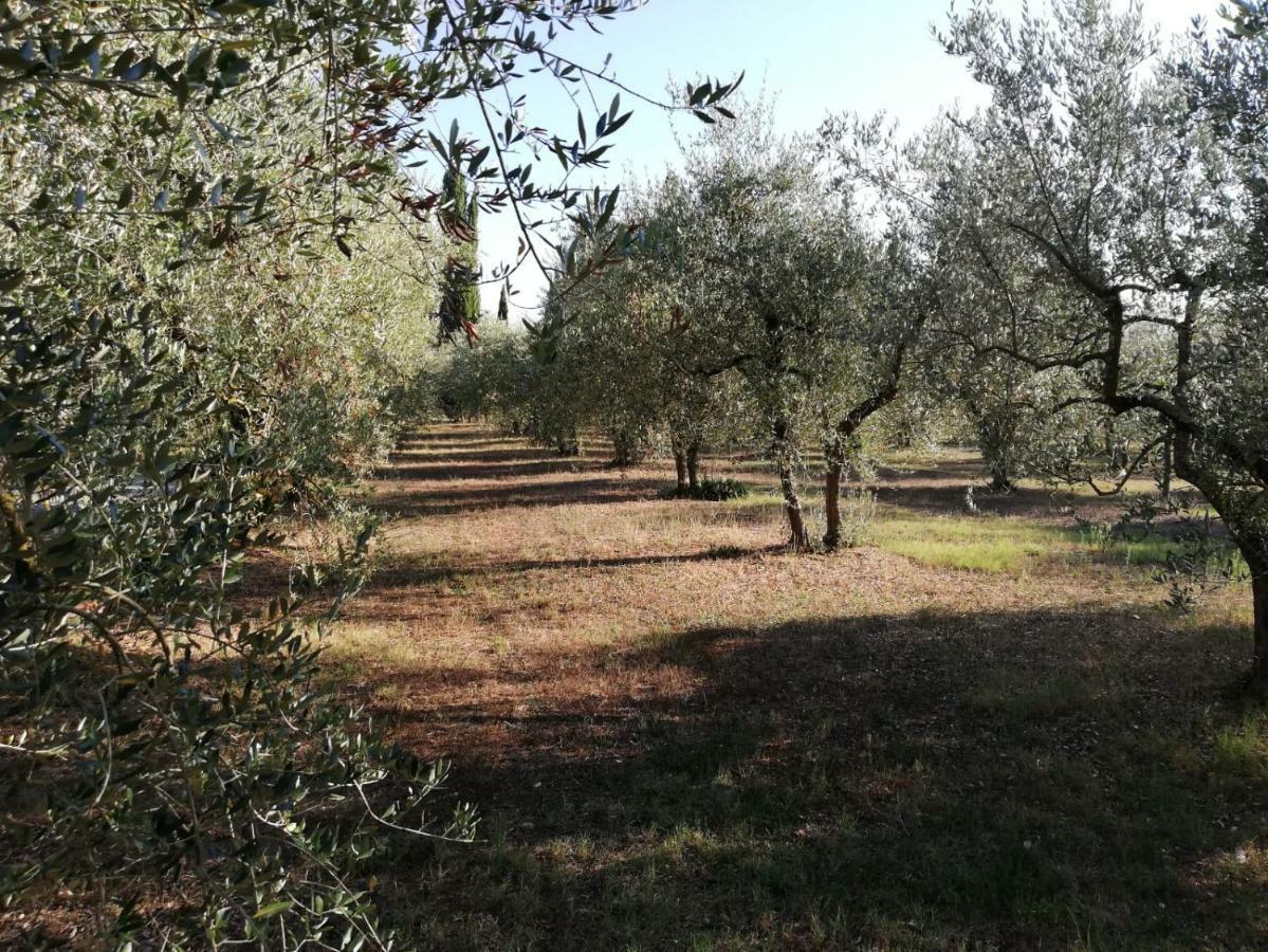 Nel Chianti Lungo La Francigena Apartment Colle Val D'Elsa Ngoại thất bức ảnh