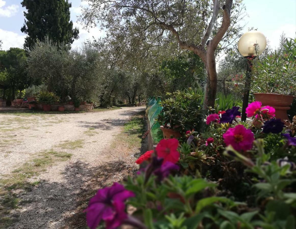 Nel Chianti Lungo La Francigena Apartment Colle Val D'Elsa Ngoại thất bức ảnh