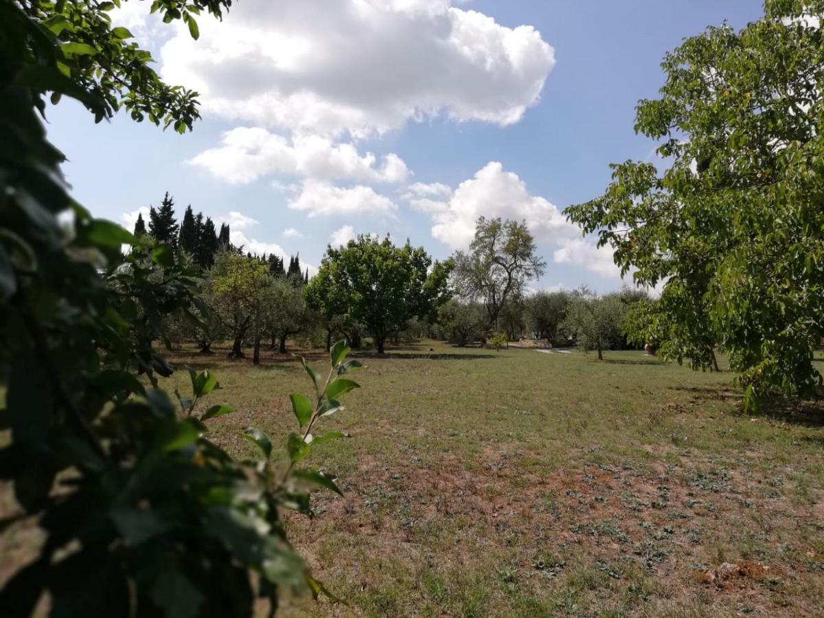Nel Chianti Lungo La Francigena Apartment Colle Val D'Elsa Ngoại thất bức ảnh
