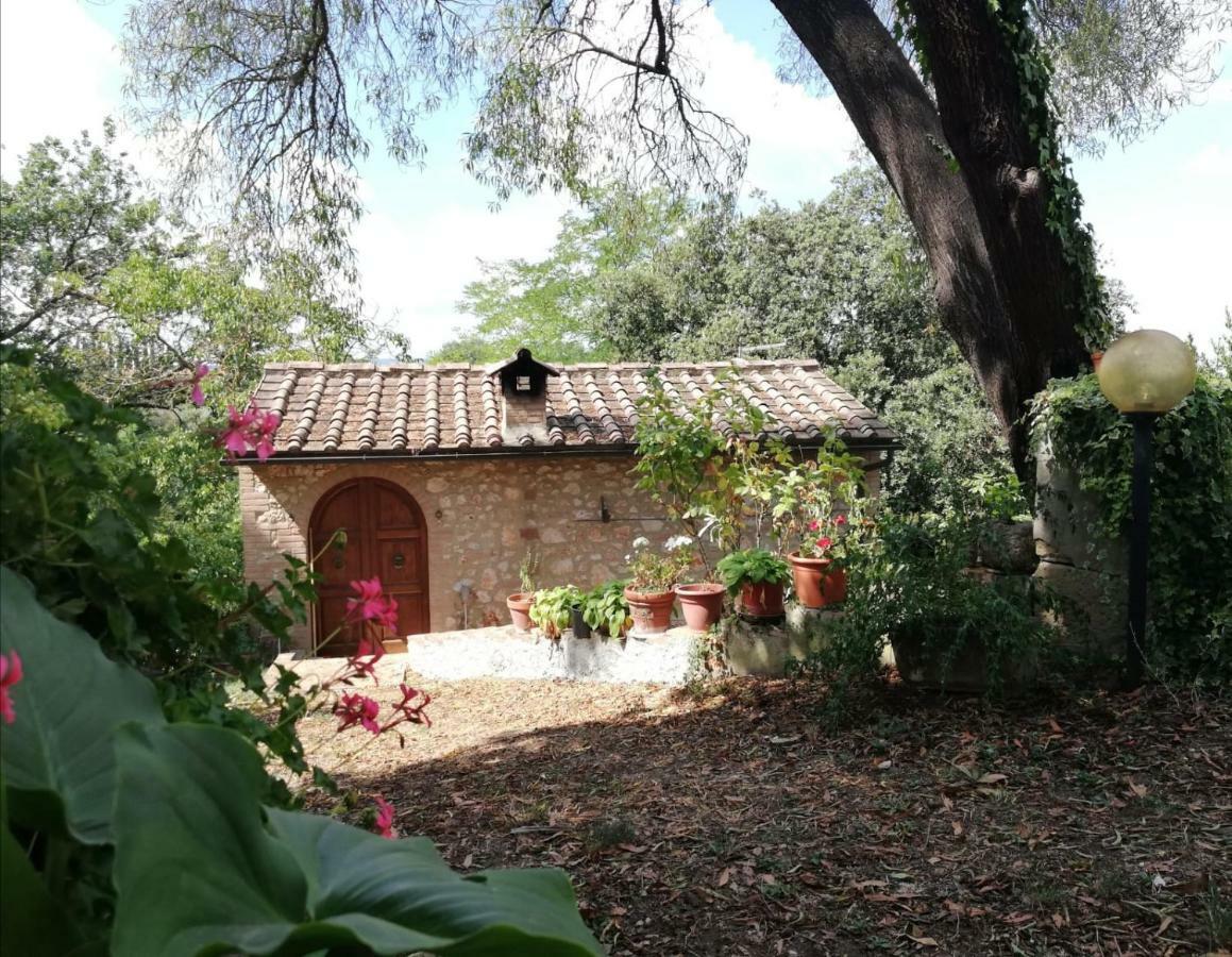 Nel Chianti Lungo La Francigena Apartment Colle Val D'Elsa Ngoại thất bức ảnh
