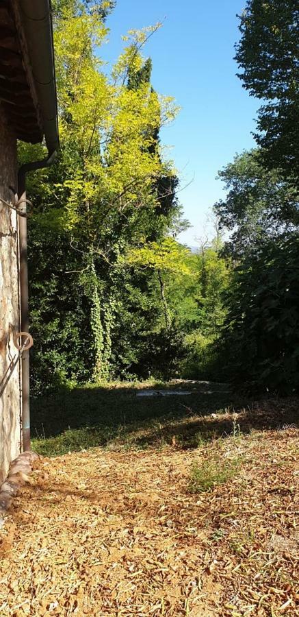 Nel Chianti Lungo La Francigena Apartment Colle Val D'Elsa Ngoại thất bức ảnh