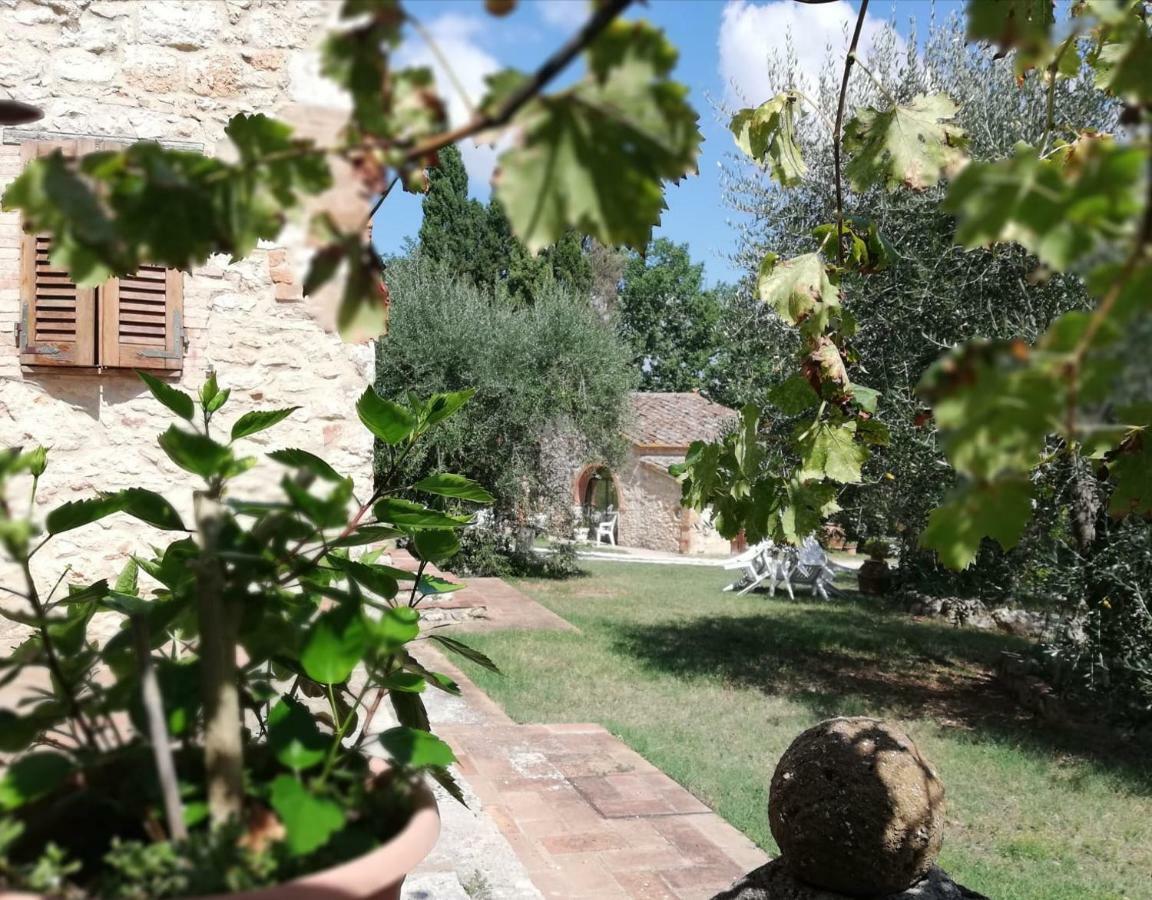 Nel Chianti Lungo La Francigena Apartment Colle Val D'Elsa Ngoại thất bức ảnh