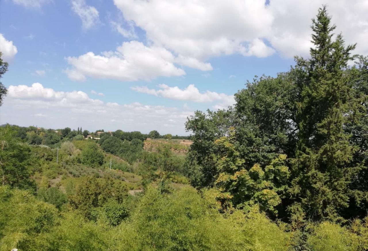Nel Chianti Lungo La Francigena Apartment Colle Val D'Elsa Ngoại thất bức ảnh