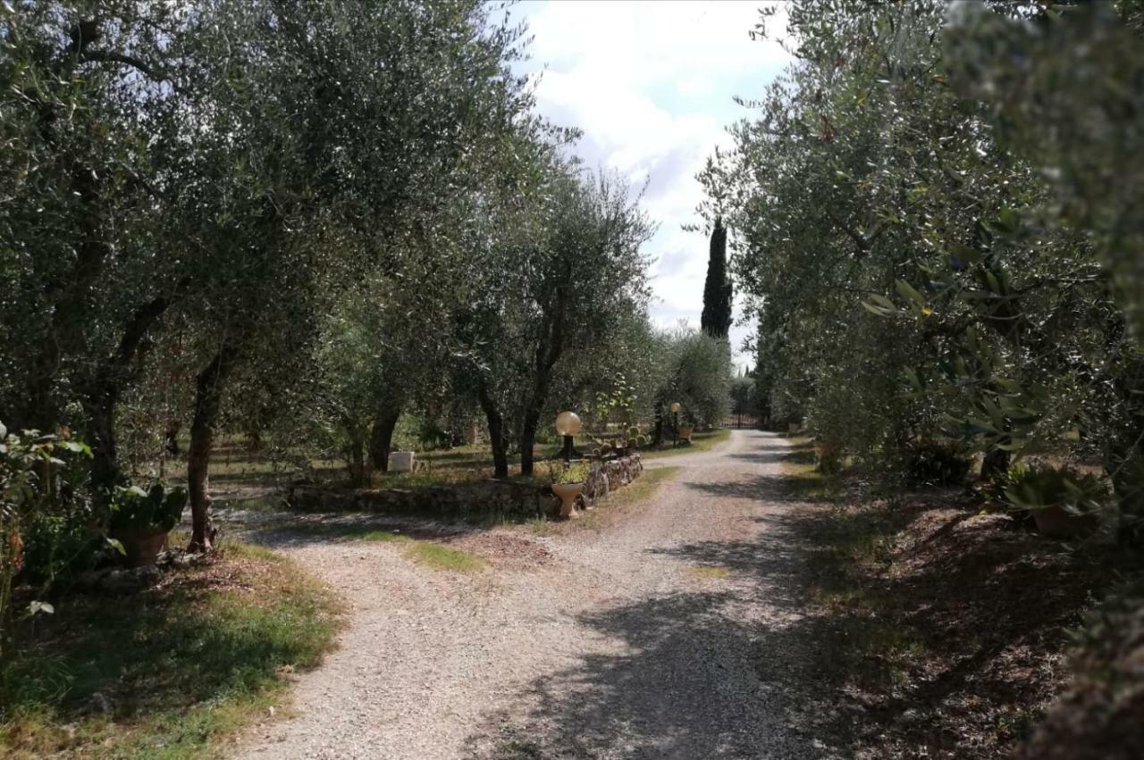 Nel Chianti Lungo La Francigena Apartment Colle Val D'Elsa Ngoại thất bức ảnh