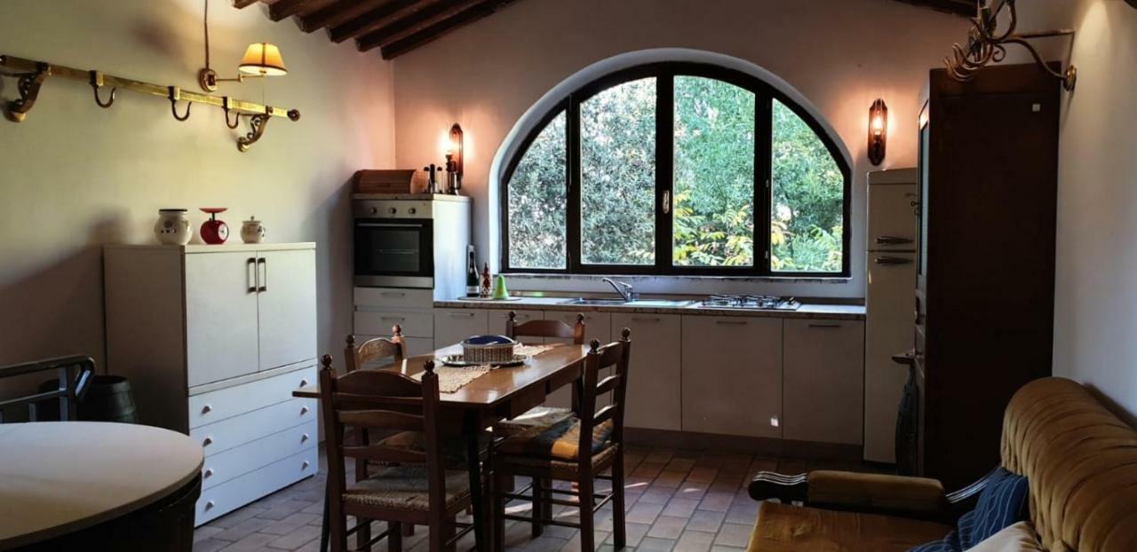 Nel Chianti Lungo La Francigena Apartment Colle Val D'Elsa Ngoại thất bức ảnh